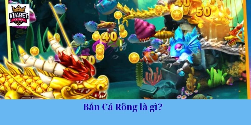 Bắn Cá Rồng là gì?