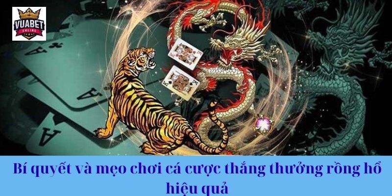 Bí quyết và mẹo chơi cá cược thắng thưởng rồng hổ hiệu quả