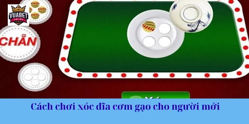 Cách chơi xóc đĩa cơm gạo cho người mới