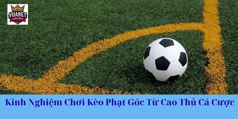 Kinh nghiệm chơi kèo phạt góc từ cao thủ cá cược