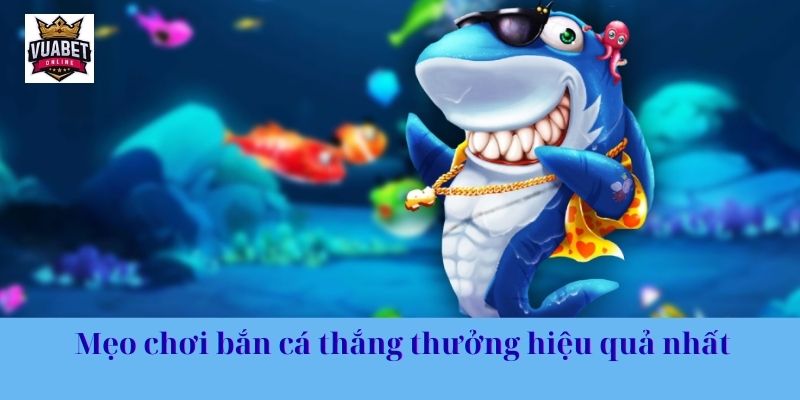 Mẹo chơi bắn cá thắng thưởng hiệu quả nhất