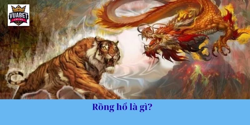 Rồng hổ là gì?