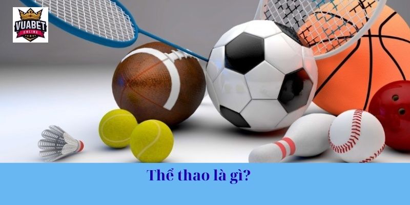 Thể thao là gì? 